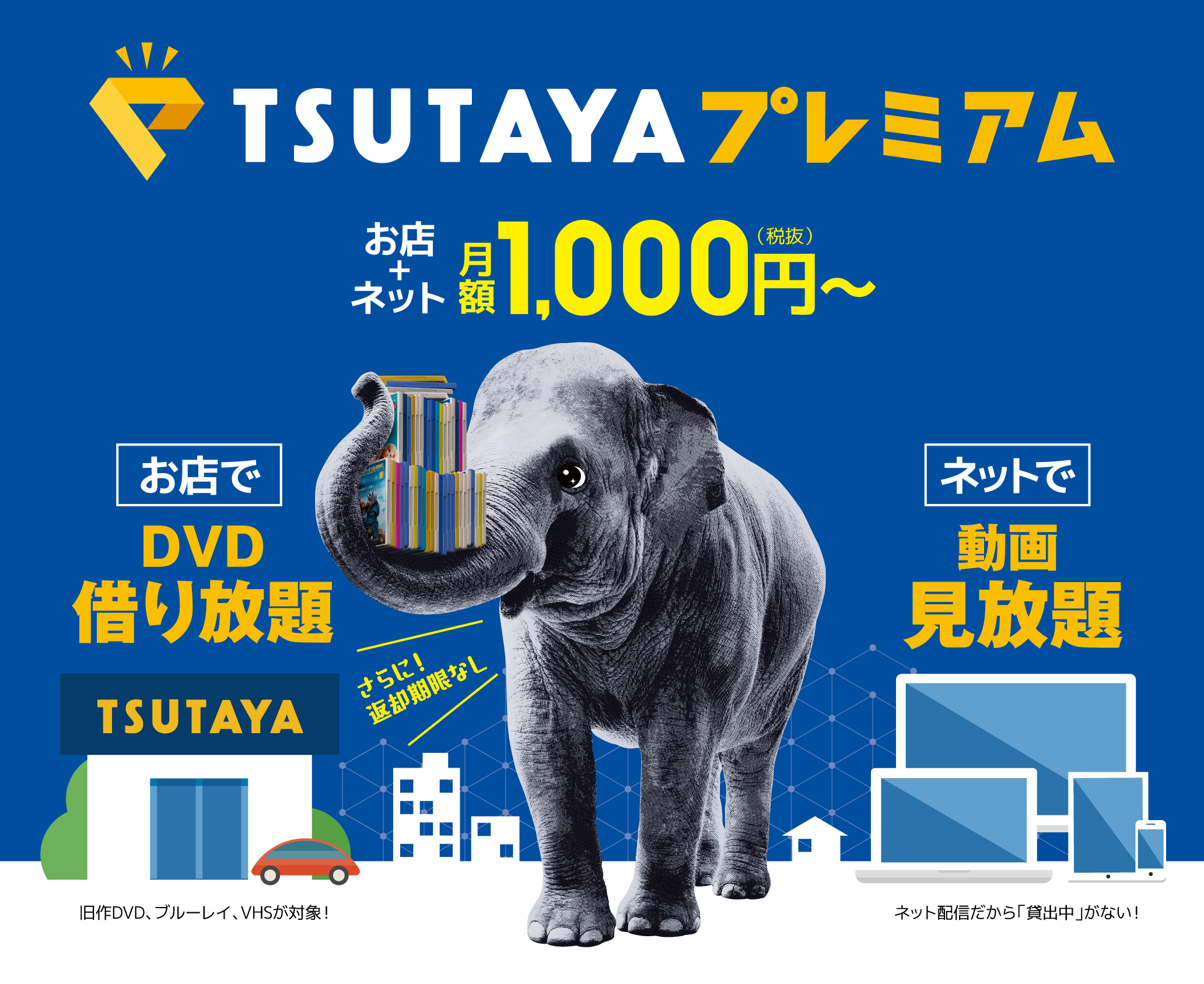 Tsutaya ツタヤ のレンタルcd Dvd商品の探し方 絶対見つかるtsutaya店員が教えるコツ ひなたんちひなたんち